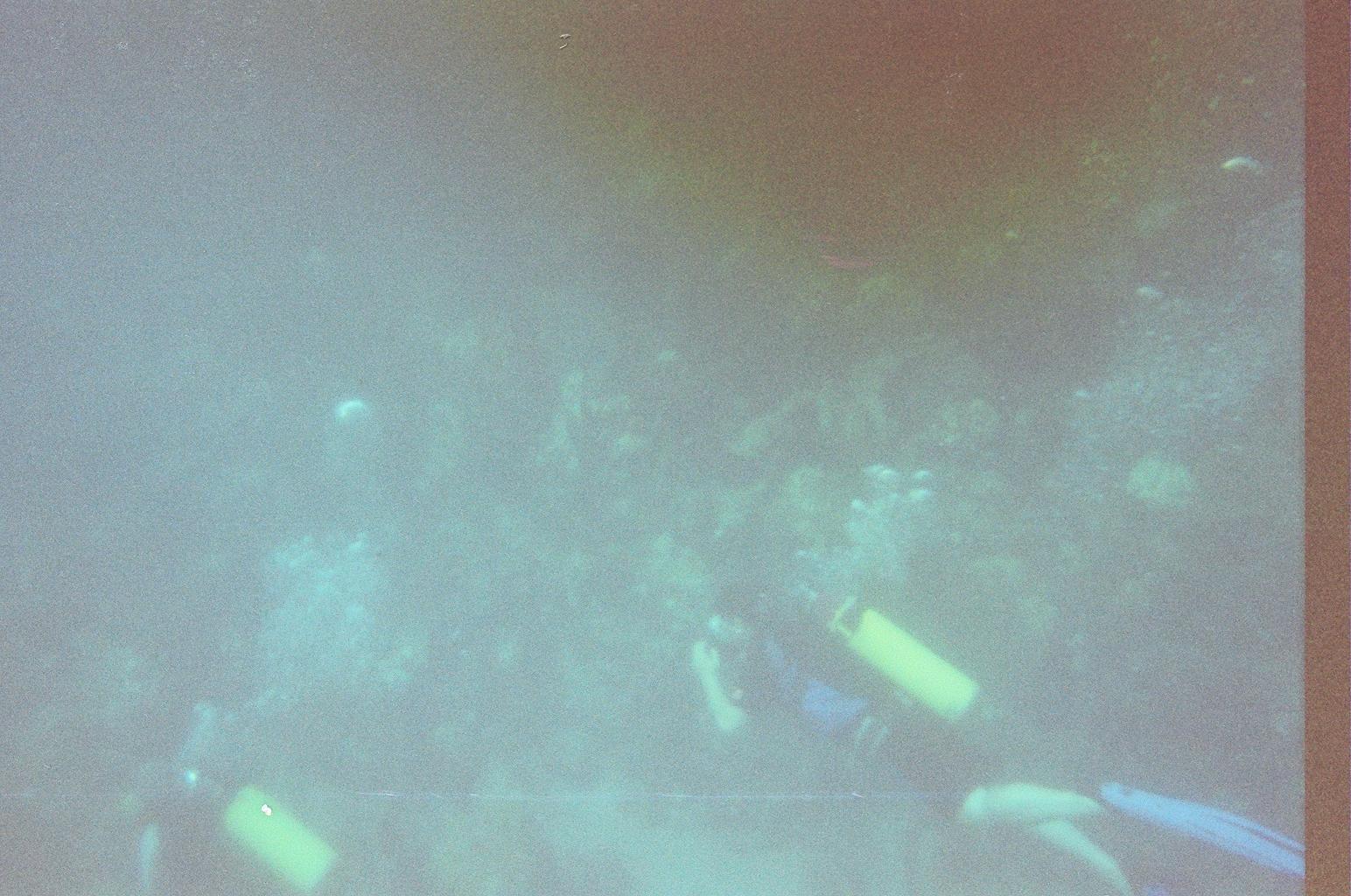 Taylor Scuba Diving 07.jpg